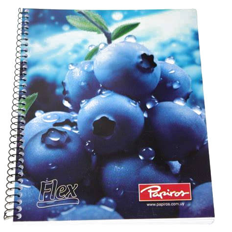Cuaderno Papiro 96 Hojas