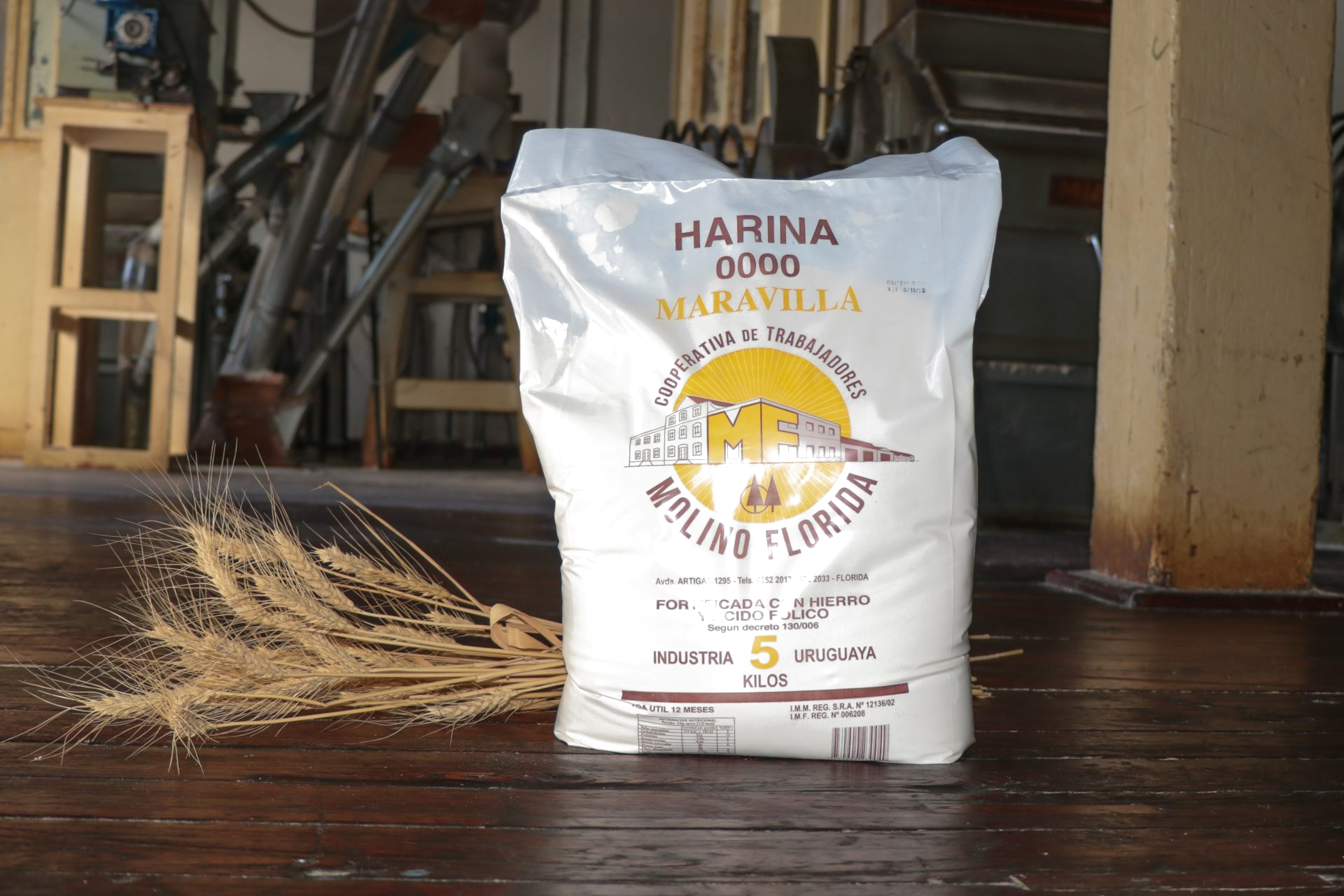 Harina 0000 1k