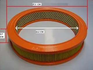 FILTRO AIRE FORD-RENAULT (CA303)