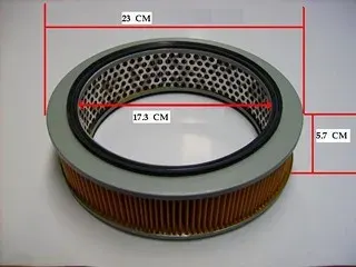 FILTRO AIRE DAIHATSU-HONDA (CA5119)