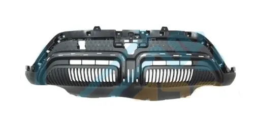 PARAGOLPE DEL BYD YUAN PRO (INF)
